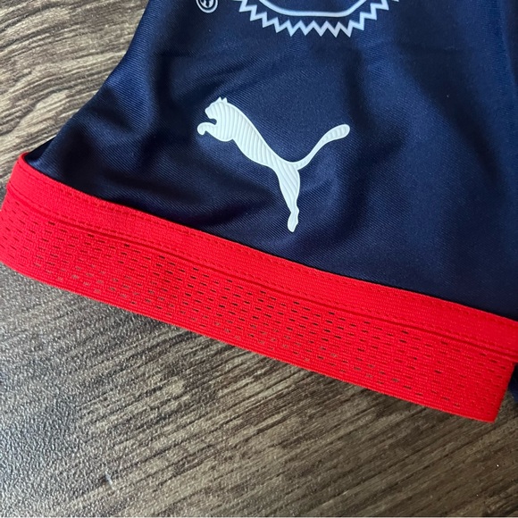 Puma Men's Chivas Authentic Third Jersey Kit 22/23 Player's Version Size Medium - Picture 2 of 9